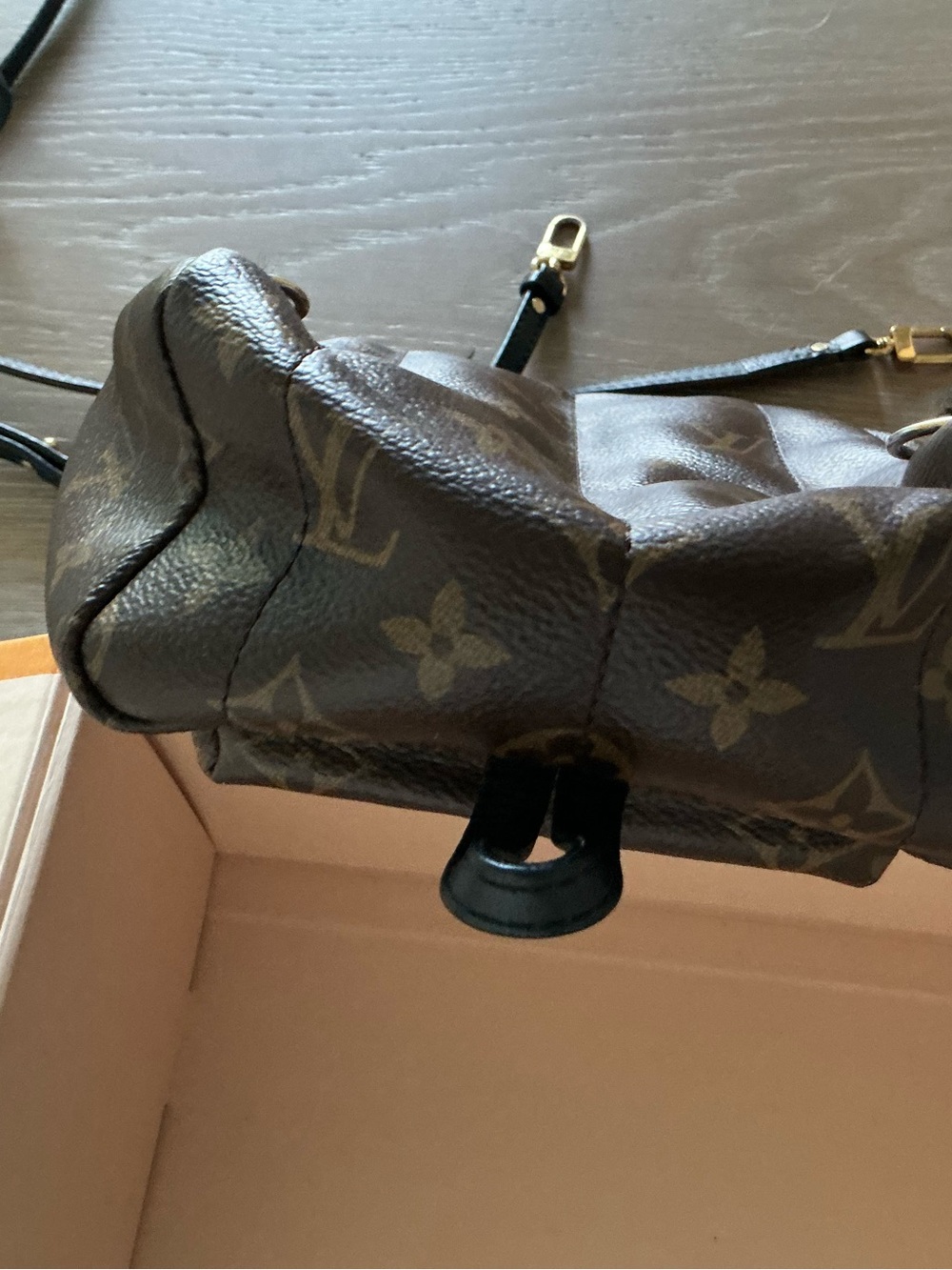 Louis Vuitton Palm Springs Monogram Mini Backpack - Picture 4 of 7